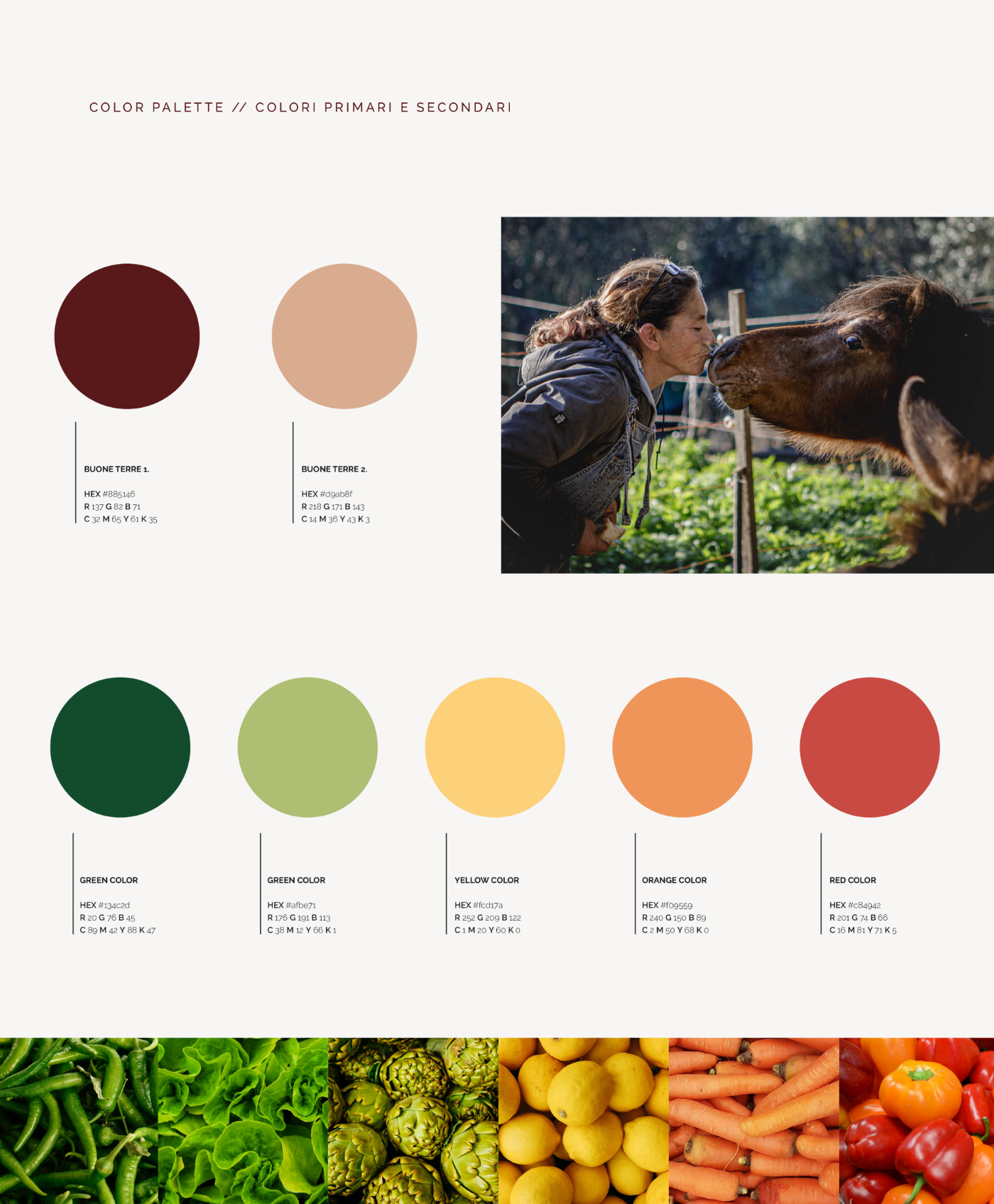 Palette colori del brand per Buone Terre, Liguria, realizzata da ThinkUp